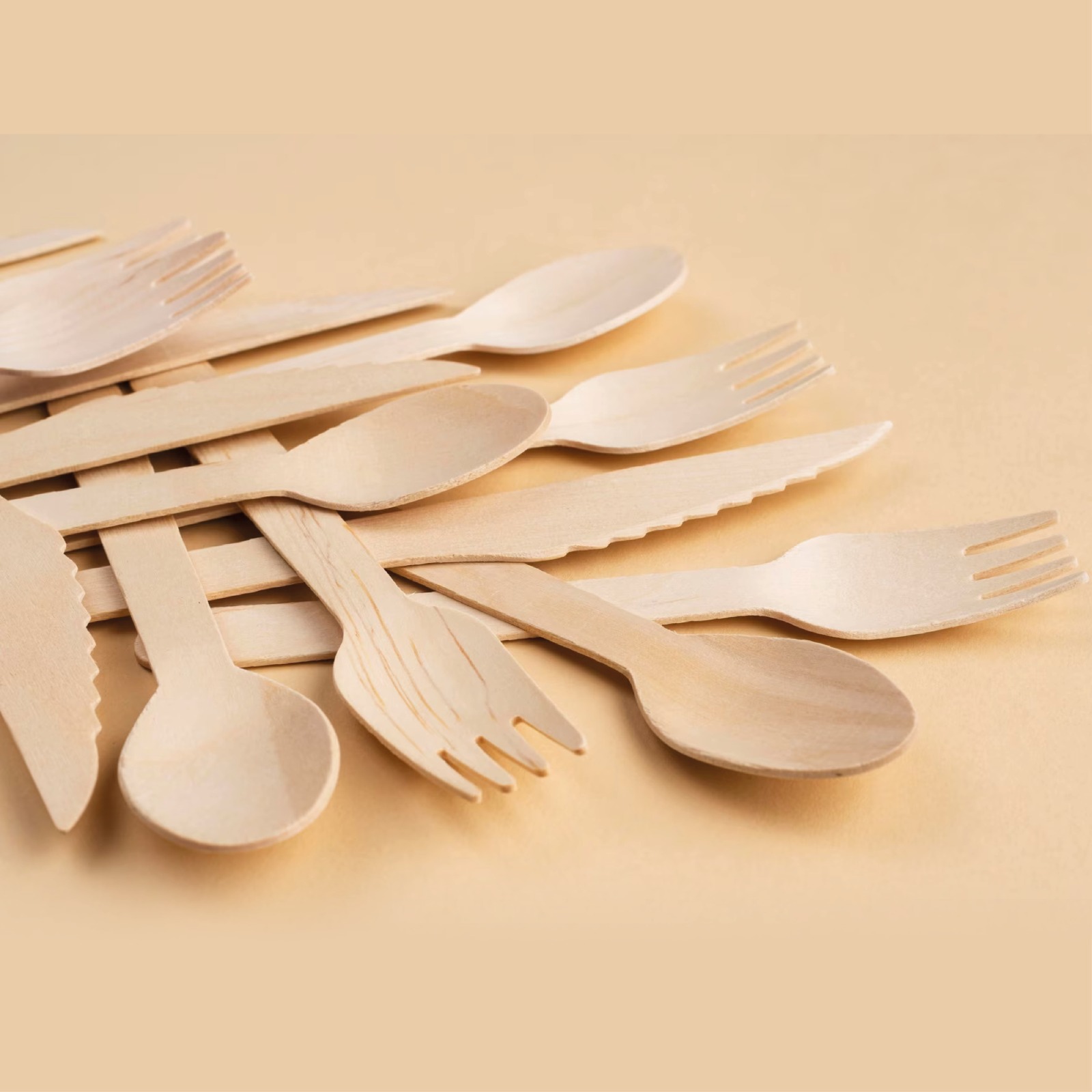 Disposable-Spoons-4